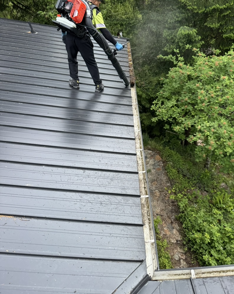 Technician clearing debris from a gutter line with a blower