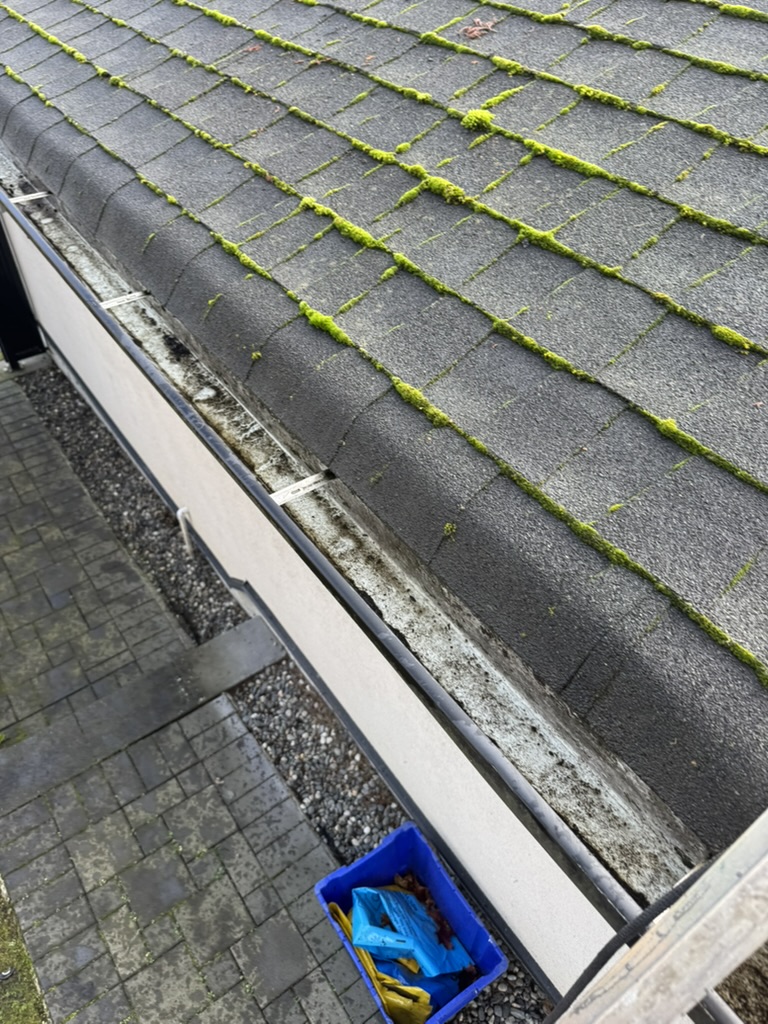 Cleaned gutter edge after leaves and debris have been removed