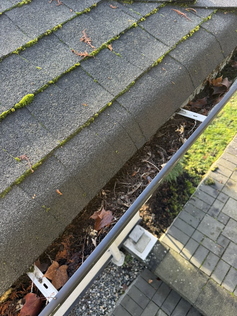 Leaves, moss, and organic debris packed inside a residential gutter