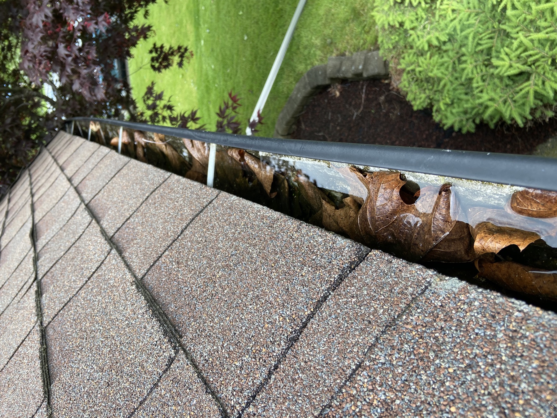 Leaves and water blocking a residential gutter before cleaning