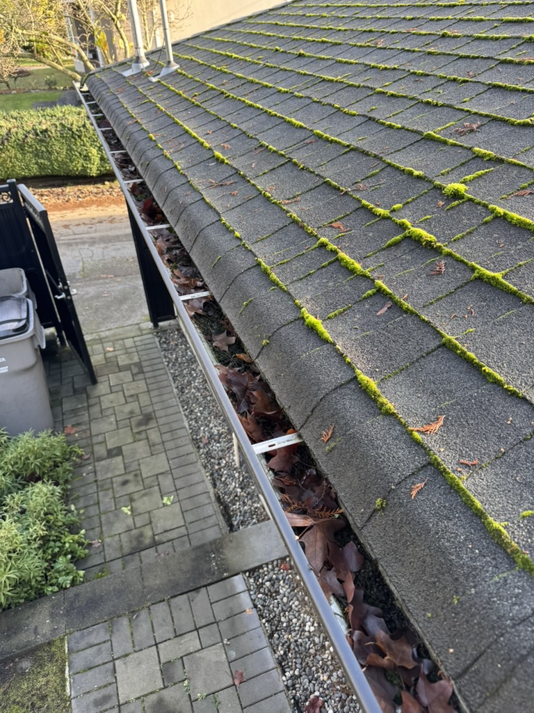 Mossy roof edge and leaf-filled gutter before seasonal gutter cleaning
