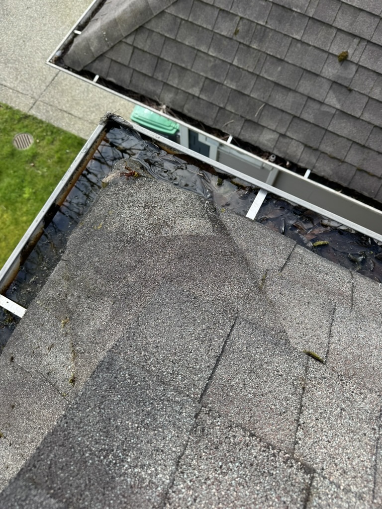 Standing water sitting in a blocked gutter beside a shingle roof