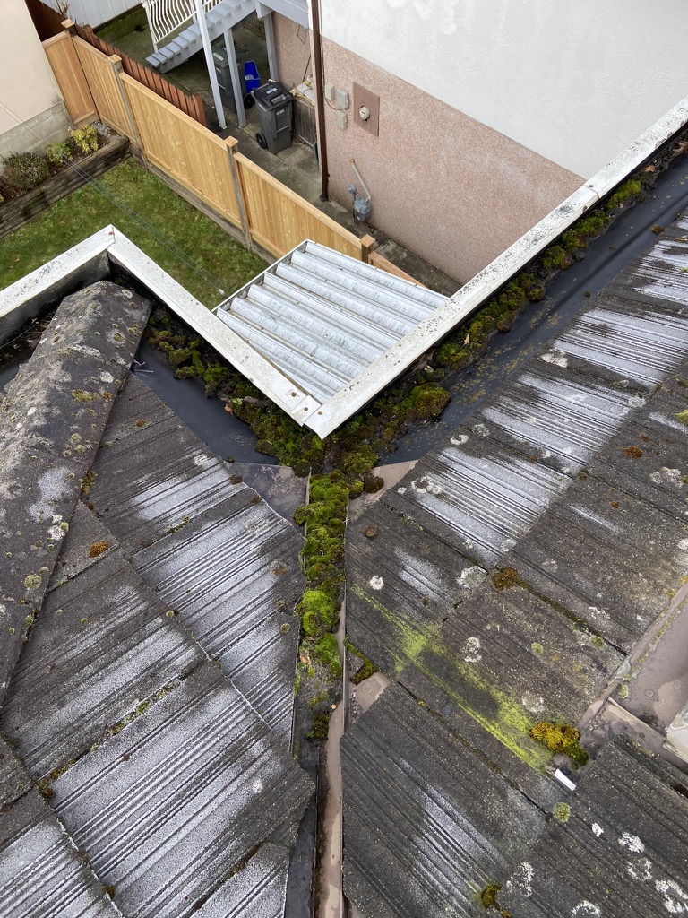 Moss and debris collected in a roof valley gutter
