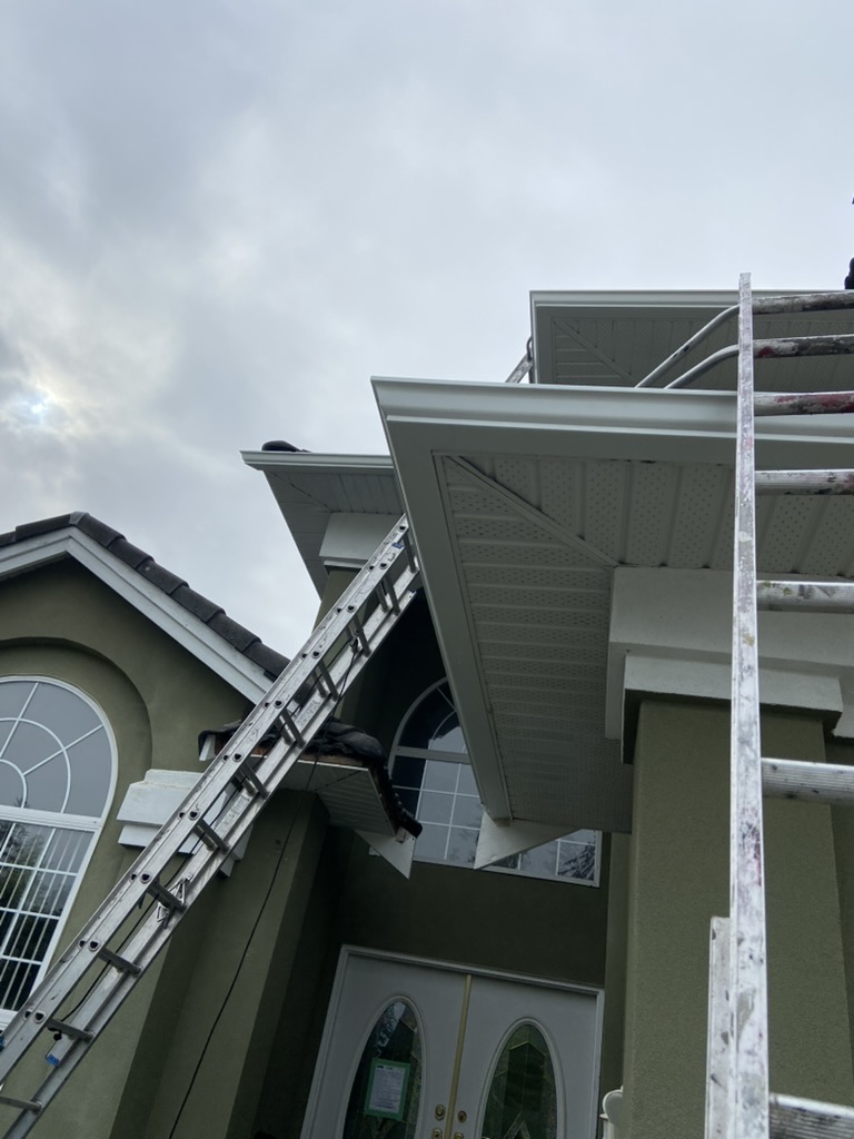 Gutter installation ladder setup at a residential front entry