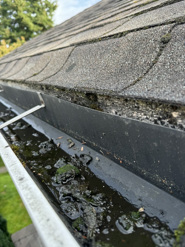 Standing water and debris inside a gutter before repair