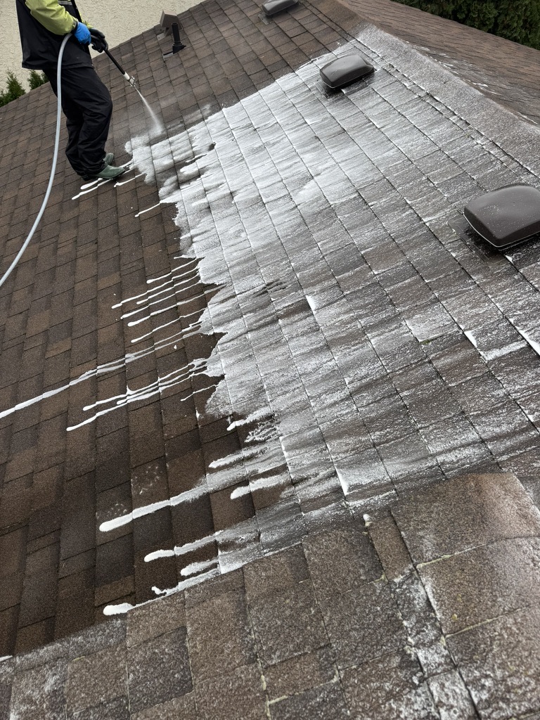 Roof soft washing application across asphalt shingles