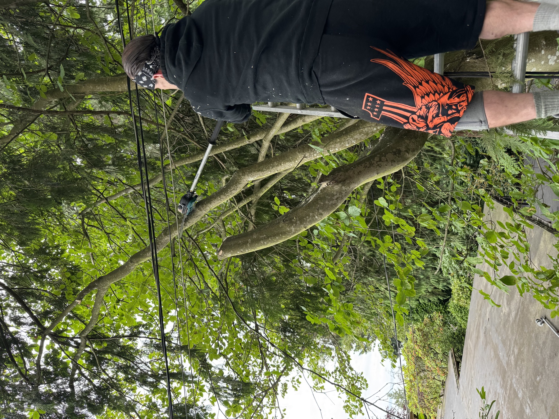 Worker trimming branches near a home exterior