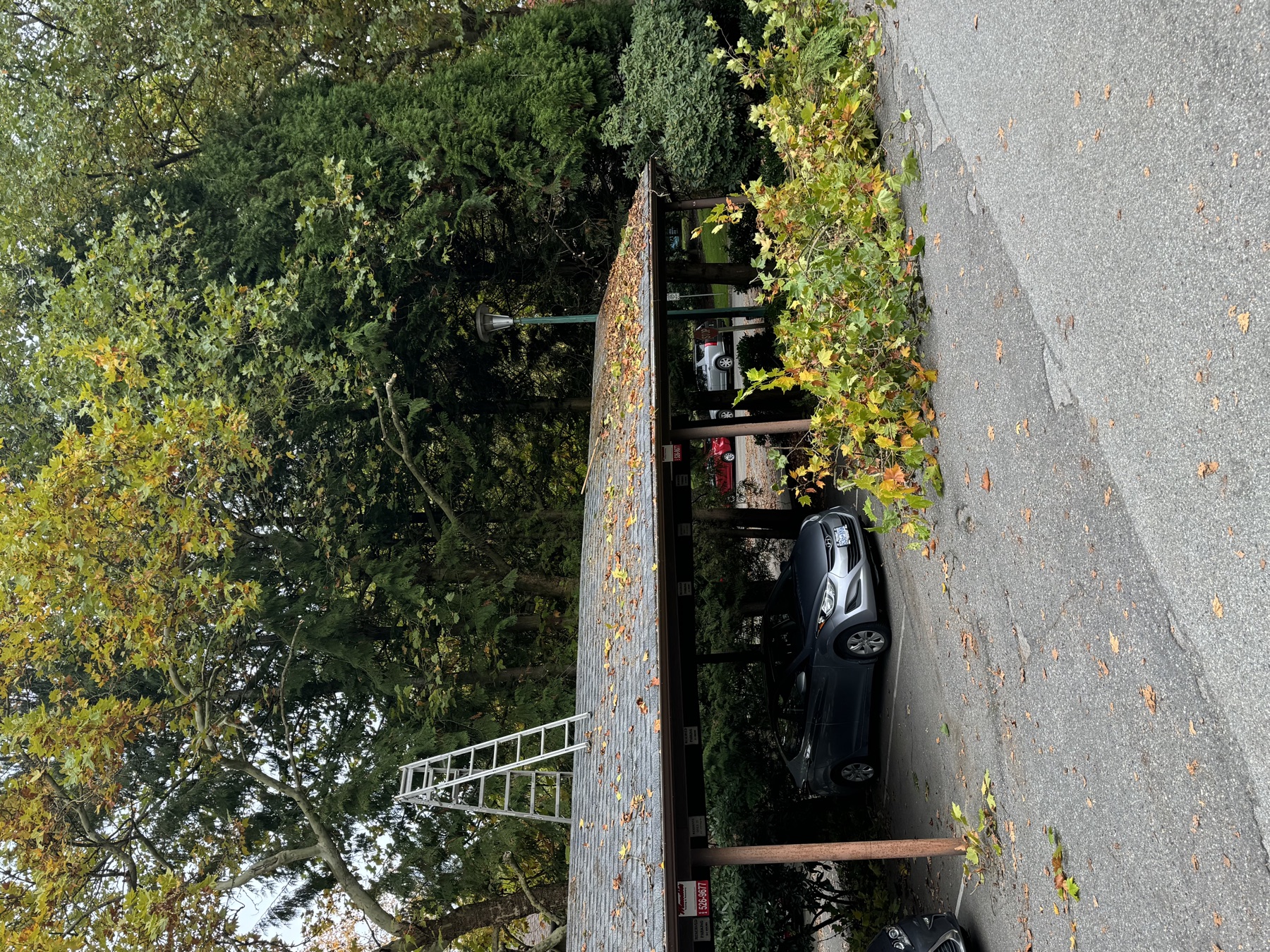 Leaves and branches around a roofline before cleanup