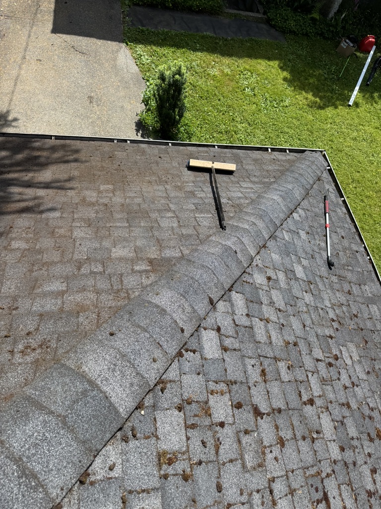 Cleaned roof surface with moss removal tools nearby