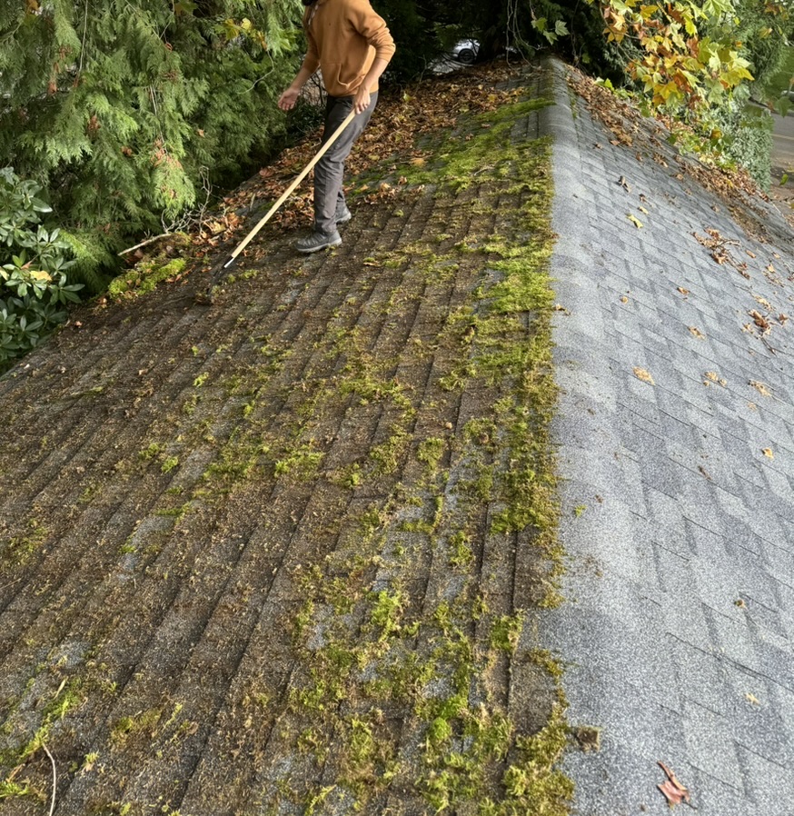 Roof with moss buildup on one side and cleaned shingles on the other