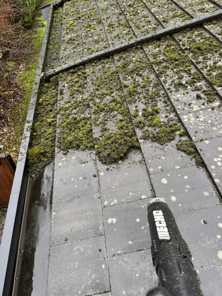 Heavy moss clumps on a tile-style roof before removal