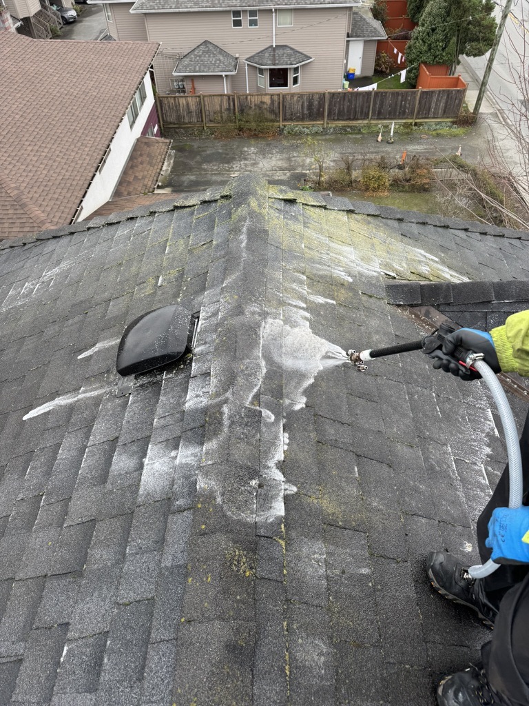 Roof treatment being applied along a shingle ridge