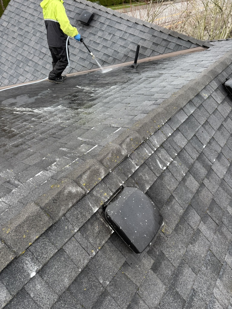 Wide roof treatment application across asphalt shingles