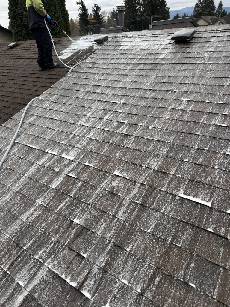 Final roof treatment application across cleaned shingles