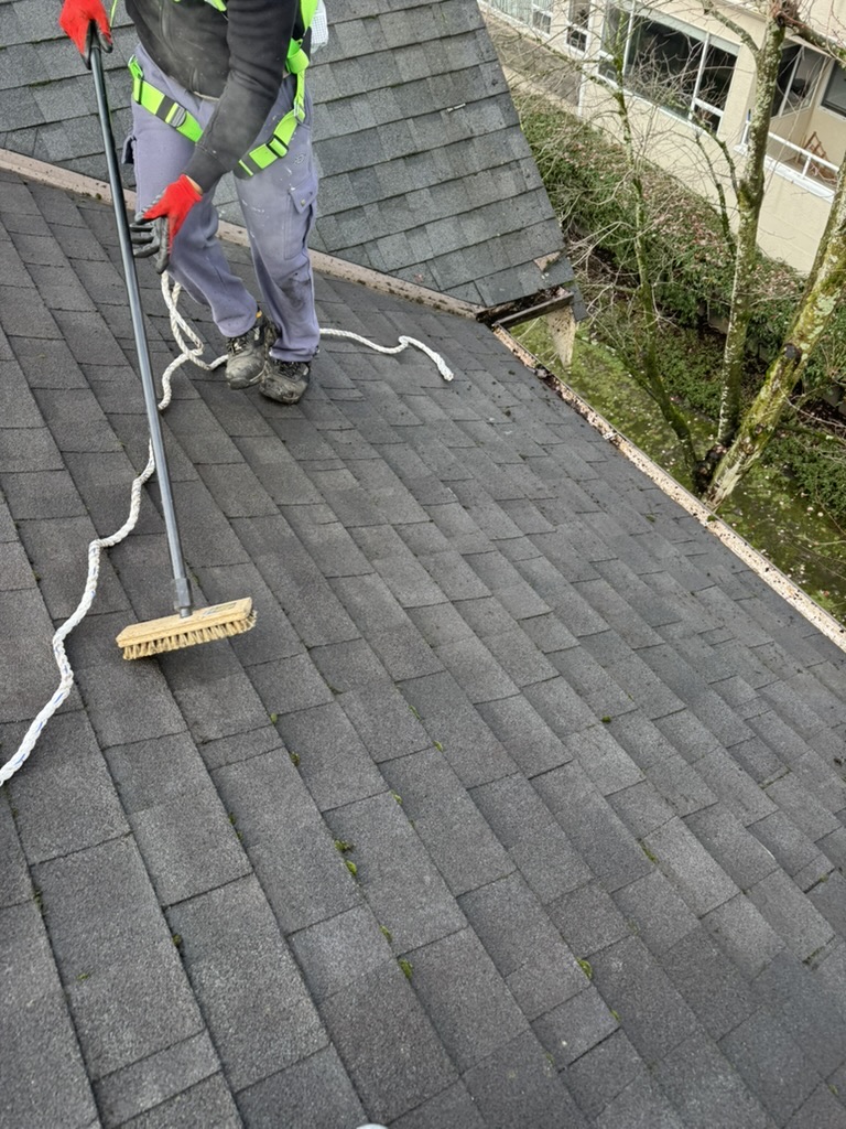 Soft brush moss removal on asphalt shingles