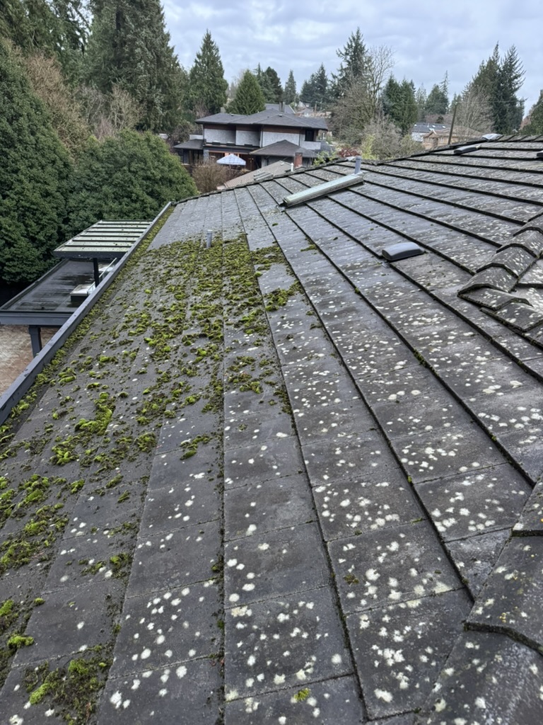 Tile-style roof with moss and lichen buildup before cleaning