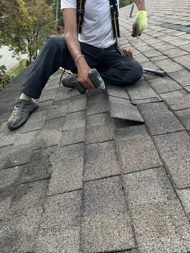 Asphalt shingle repair and replacement strip on a roof
