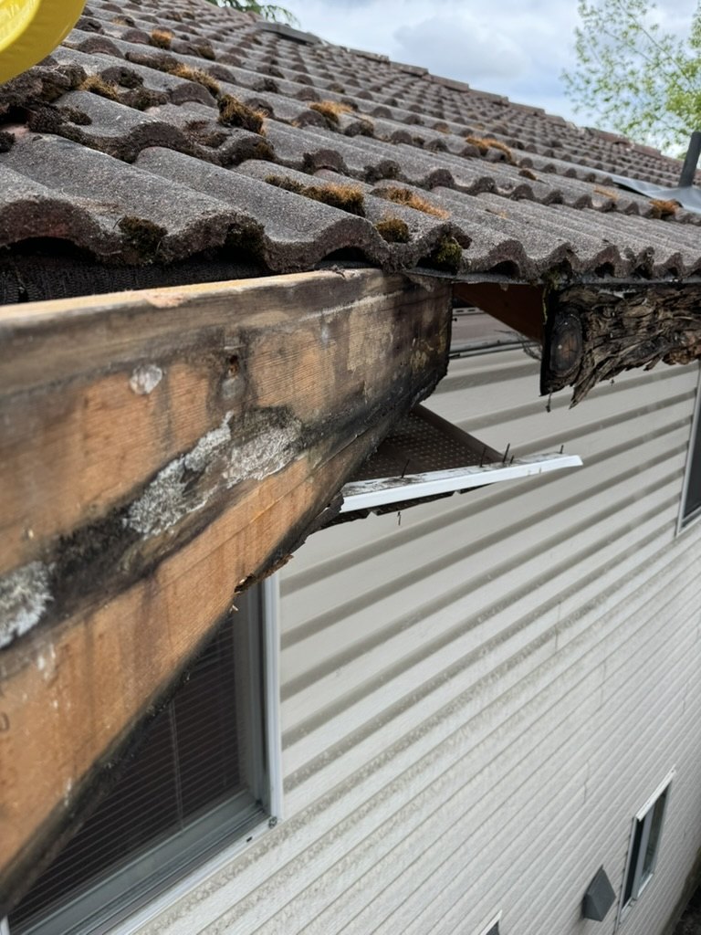 Open eave soffit repair detail