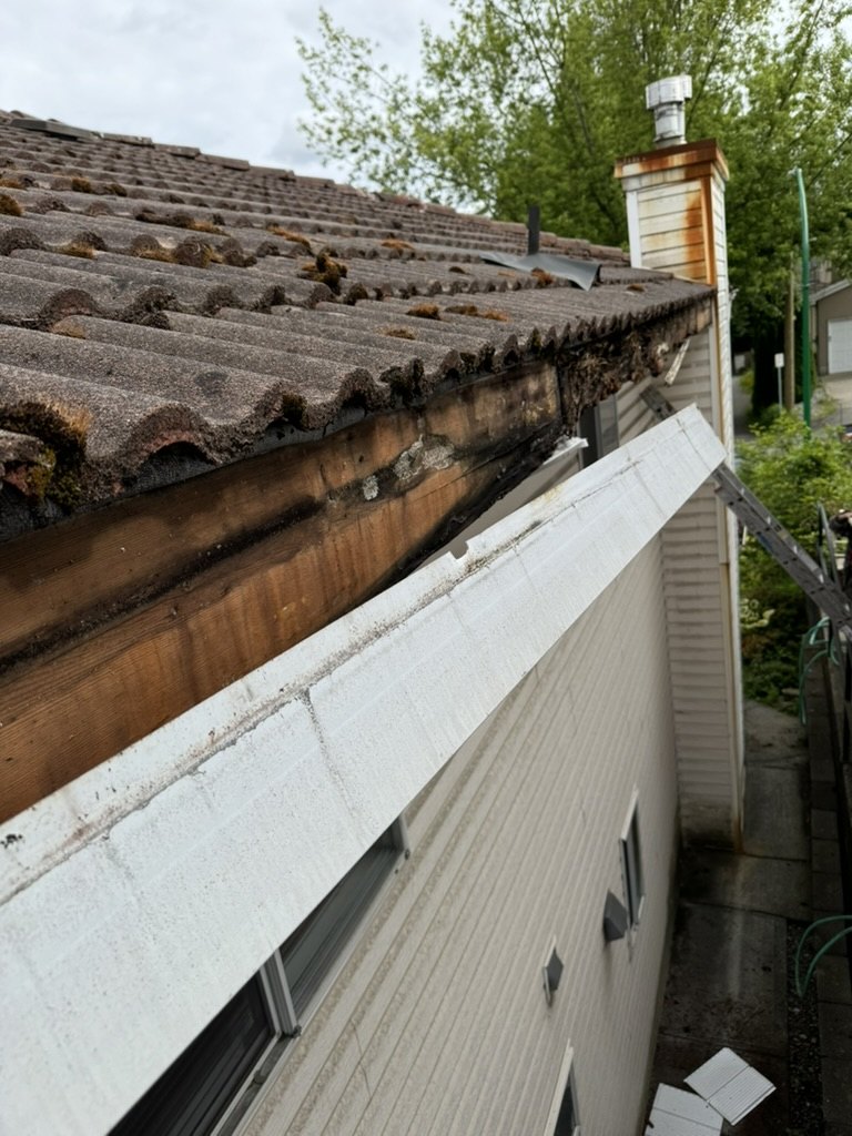 Fascia rot close-up under tile roof