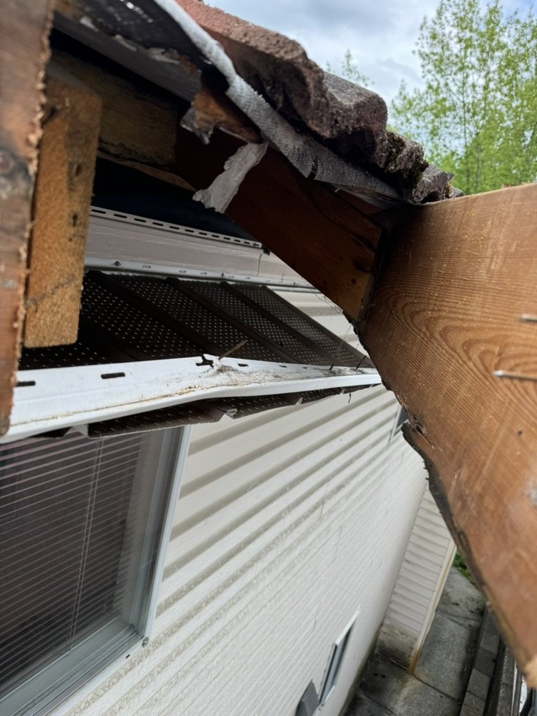 Rotted fascia exposed under a tile roof before repair